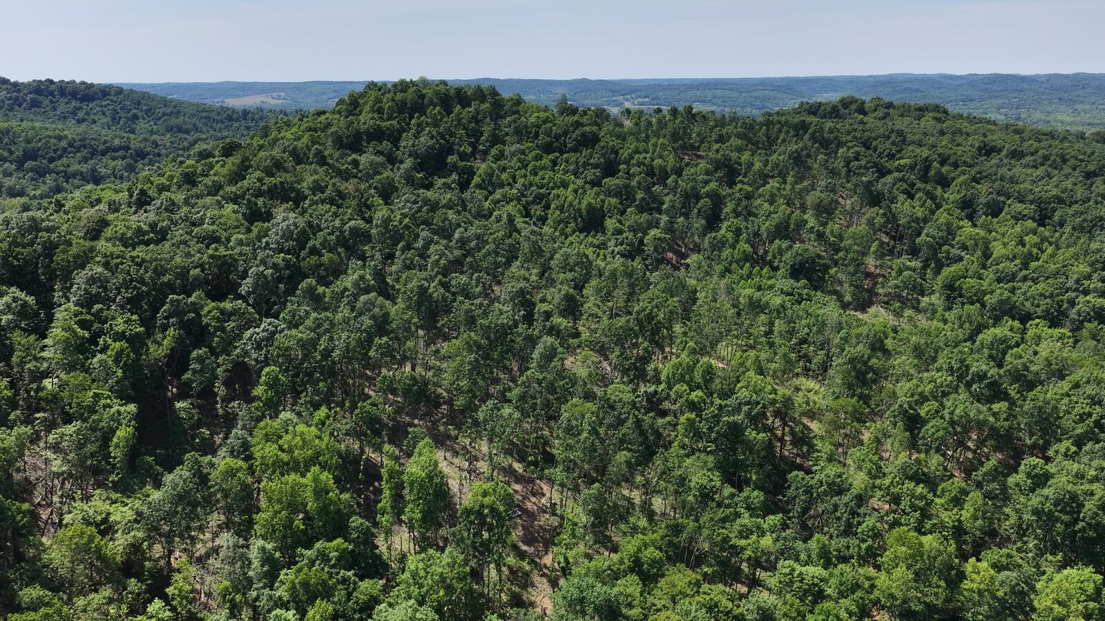0 Moats Hollow Rd - 24 Acres in Pike County, OH - Photo 25