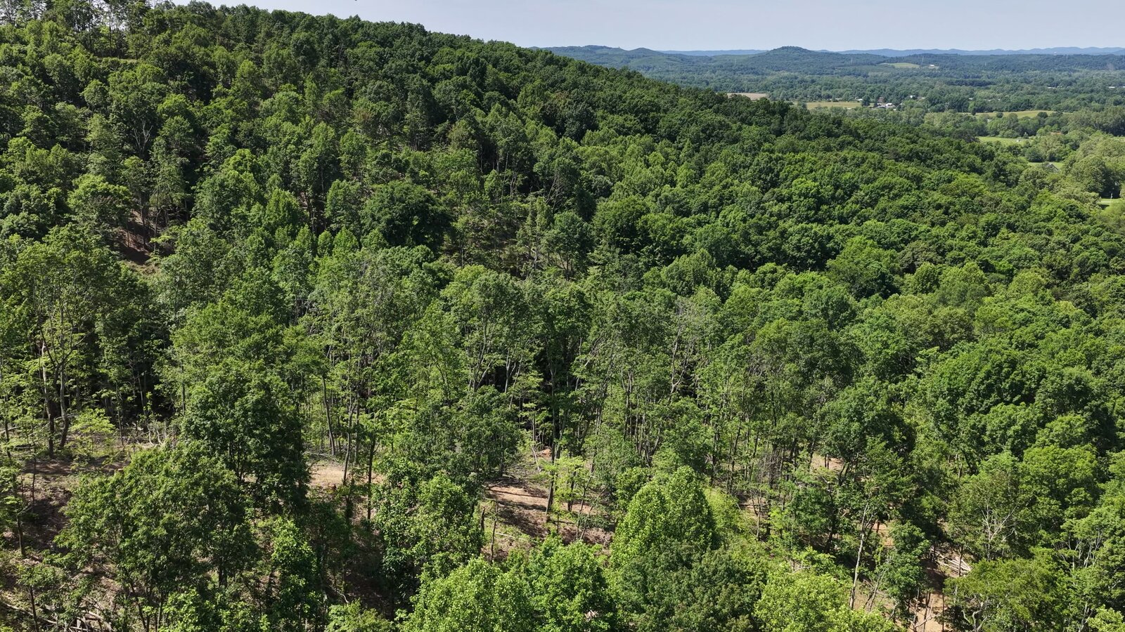 0 Moats Hollow Rd - 24 Acres in Pike County, OH - Photo 26