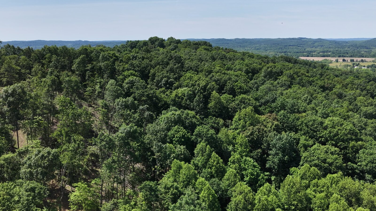 0 Moats Hollow Rd - 24 Acres in Pike County, OH - Photo 27