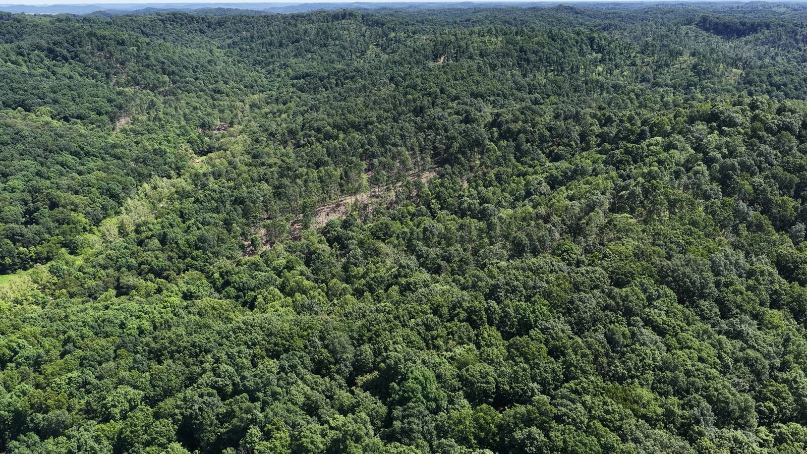 0 Moats Hollow Rd - 24 Acres in Pike County, OH - Photo 28