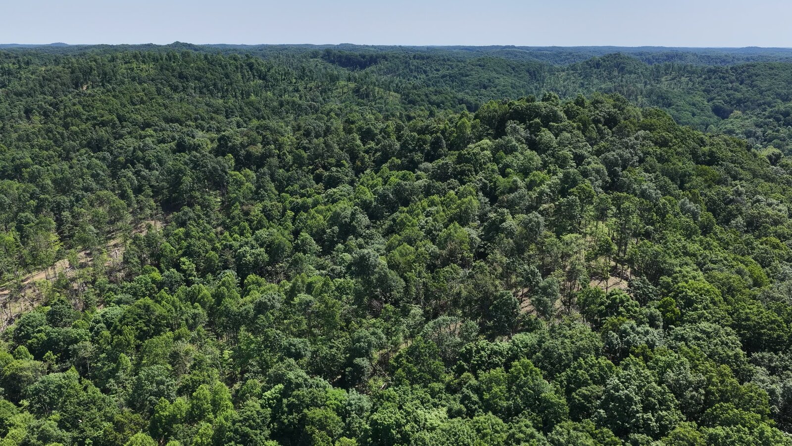 0 Moats Hollow Rd - 24 Acres in Pike County, OH - Photo 29