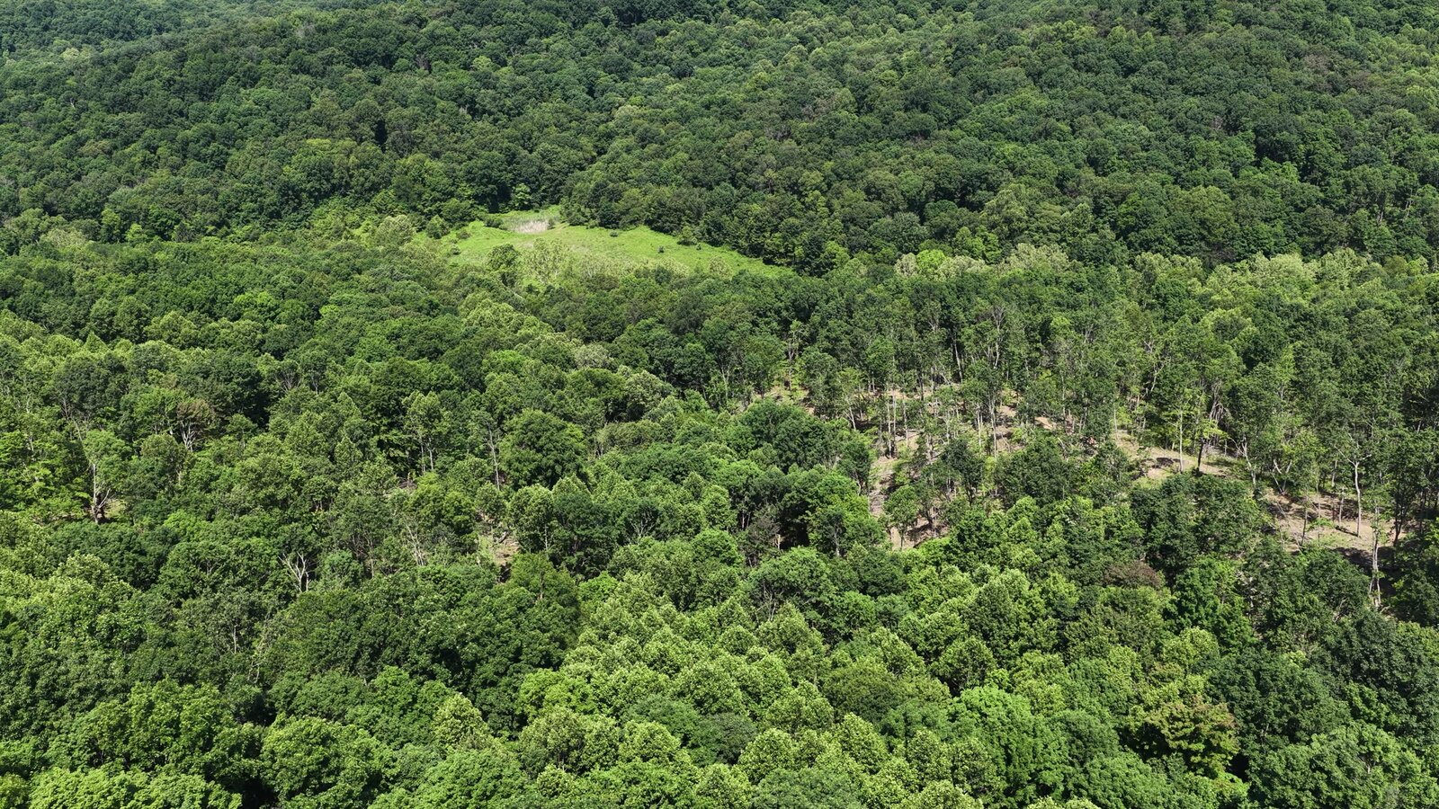 0 Moats Hollow Rd - 24 Acres in Pike County, OH - Photo 30