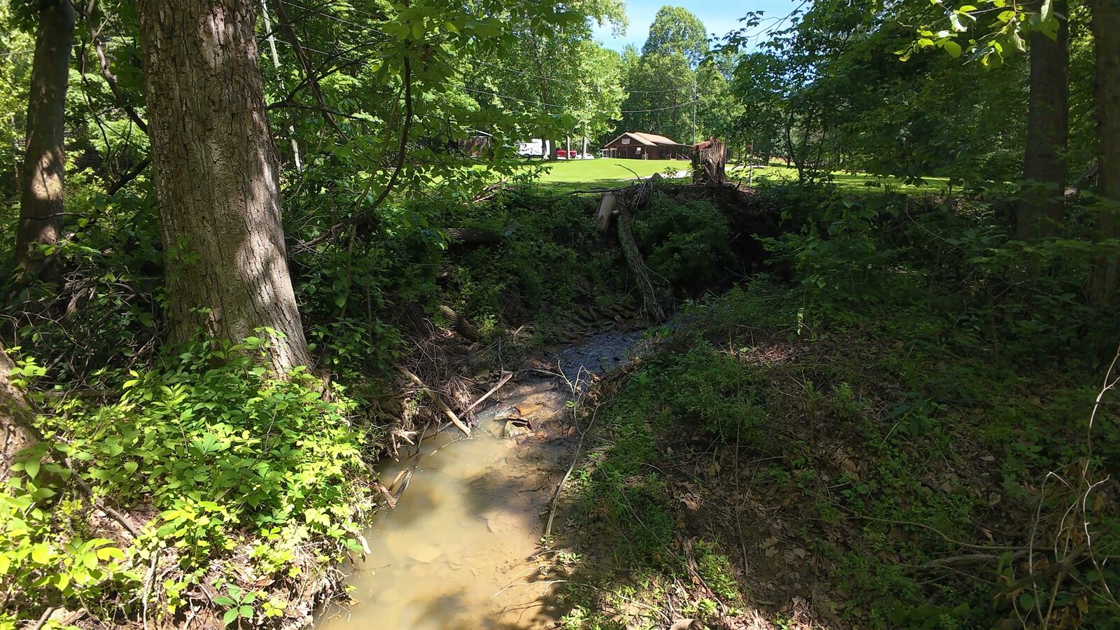 0 Moats Hollow Rd - 24 Acres in Pike County, OH - Photo 4