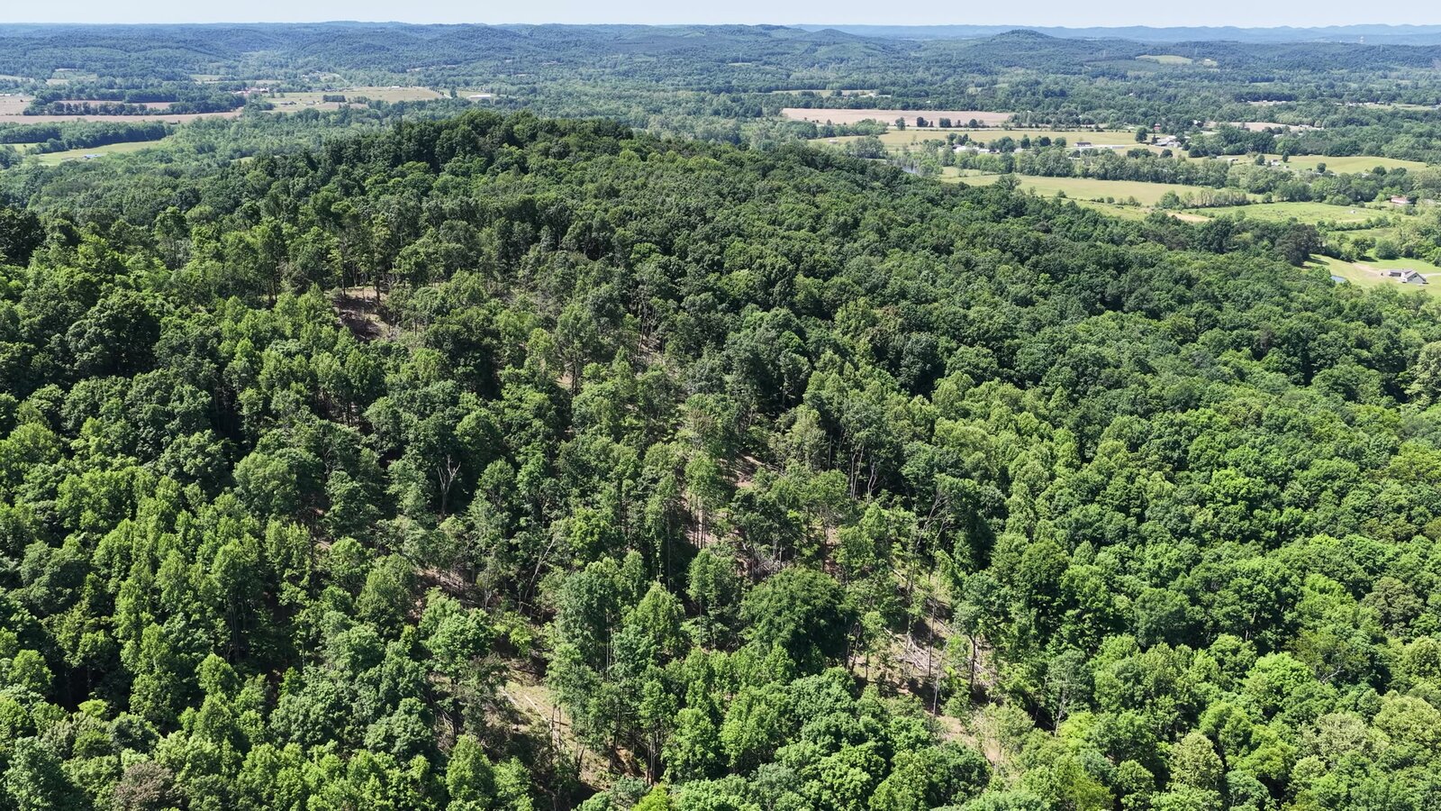0 Moats Hollow Rd - 24 Acres in Pike County, OH - Photo 31