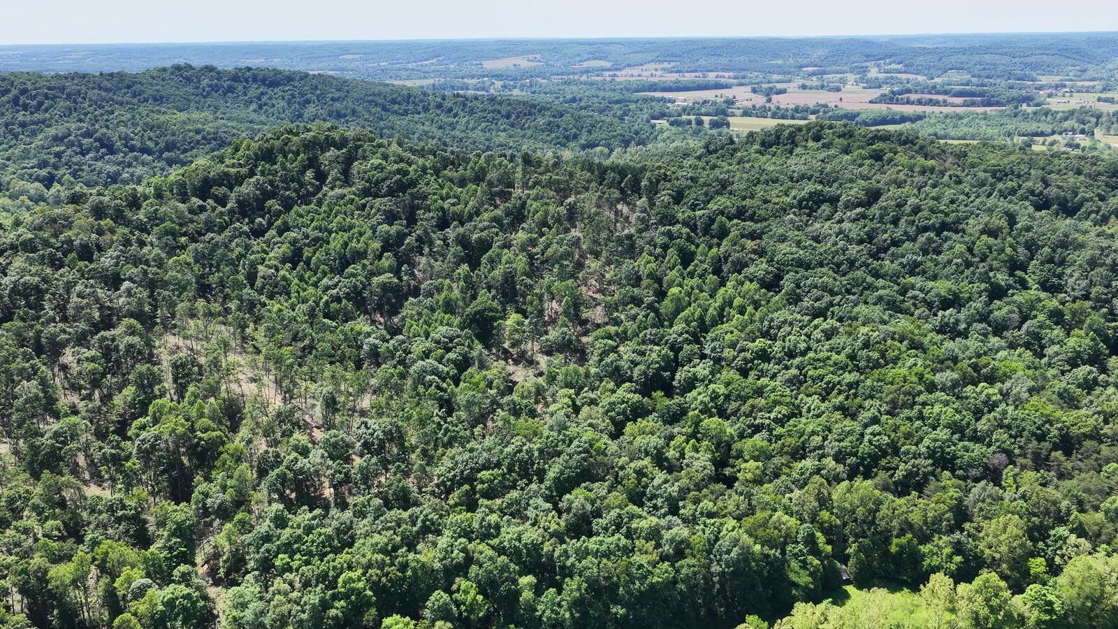 0 Moats Hollow Rd - 24 Acres in Pike County, OH - Photo 33