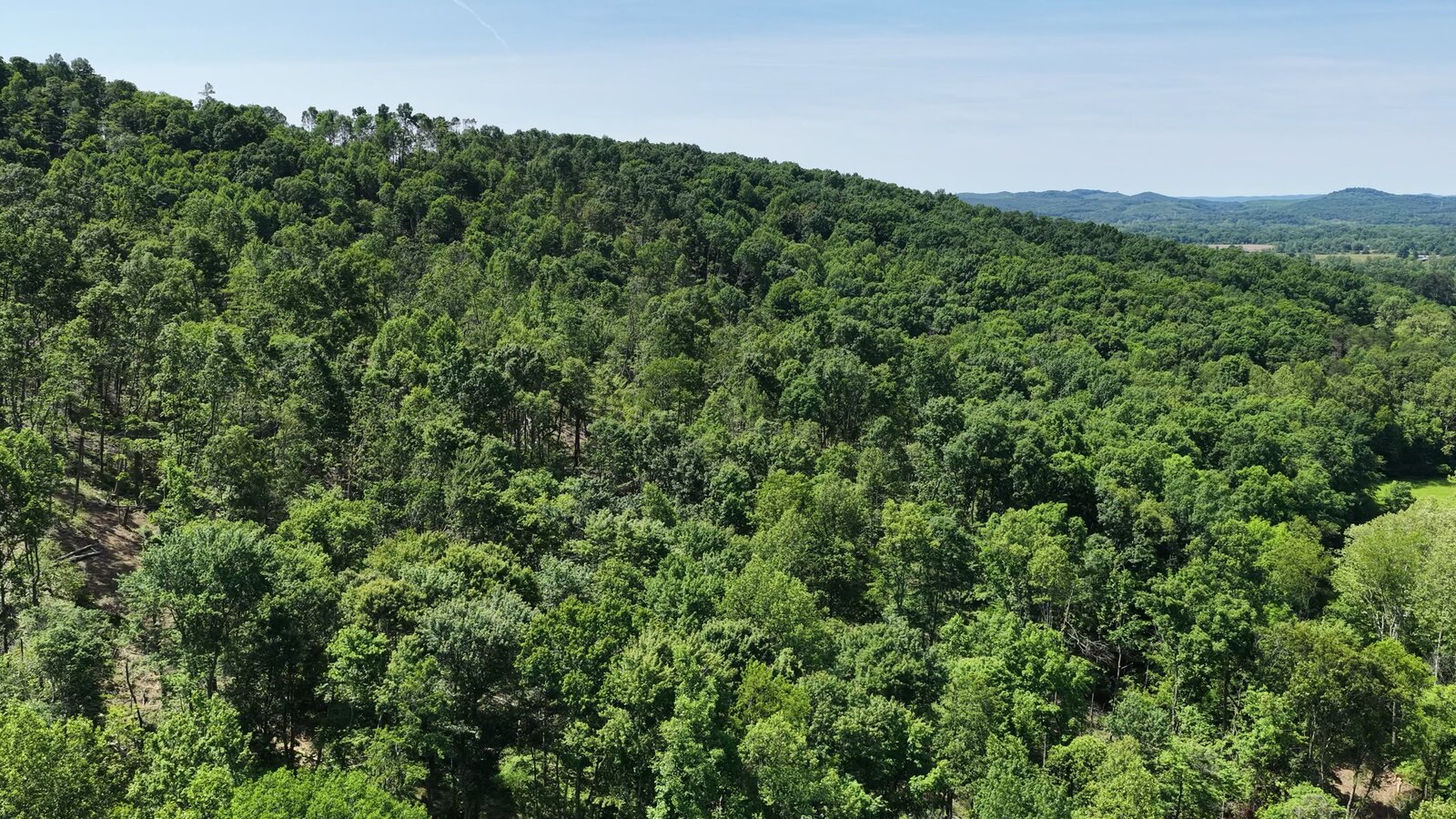 0 Moats Hollow Rd - 24 Acres in Pike County, OH - Photo 37