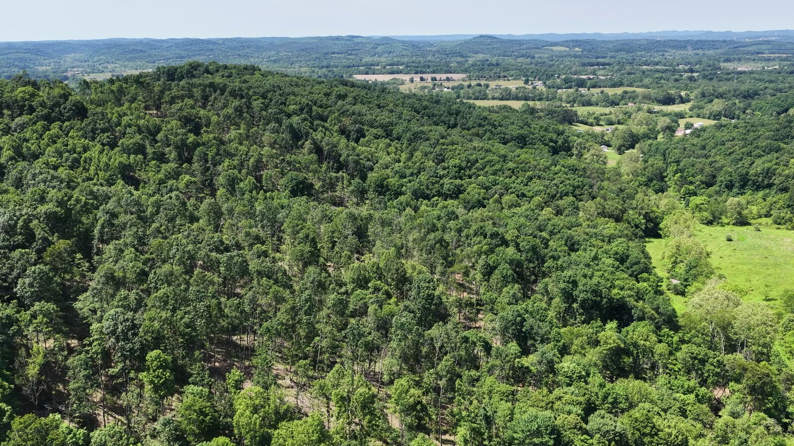 0 Moats Hollow Rd - 24 Acres in Pike County, OH - Photo 38