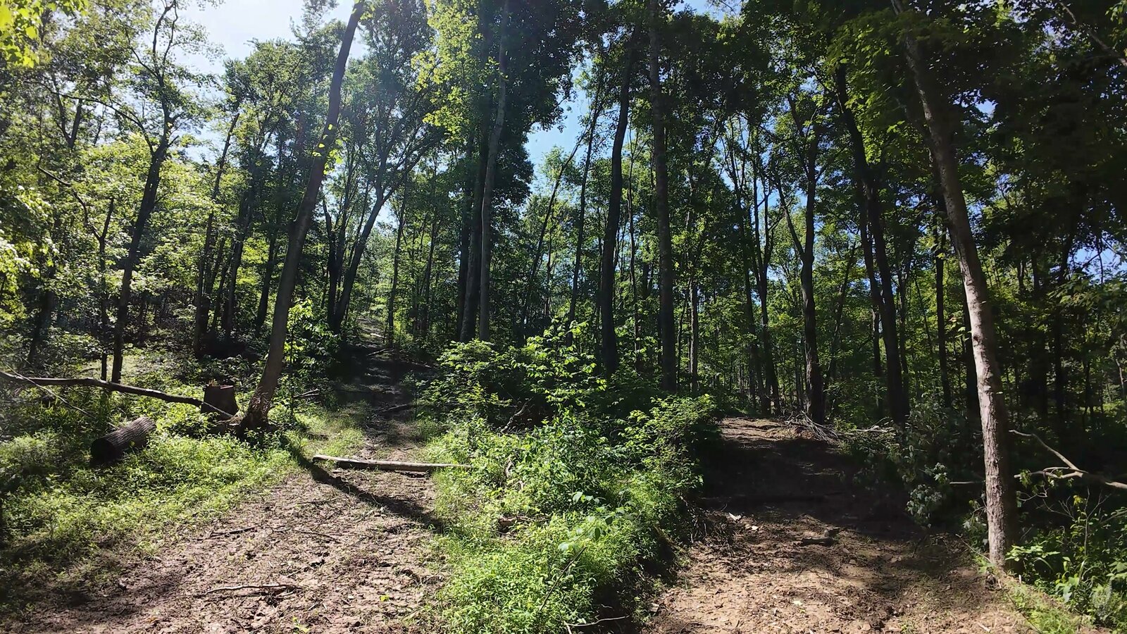 0 Moats Hollow Rd - 24 Acres in Pike County, OH - Photo 7