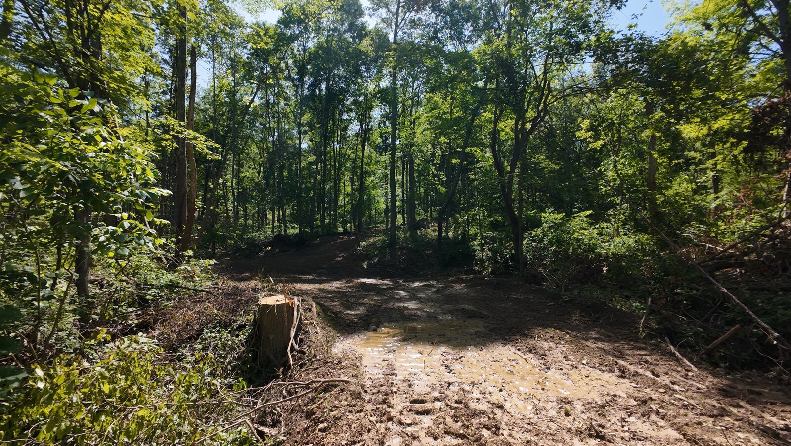 0 Moats Hollow Rd - 24 Acres in Pike County, OH - Photo 10