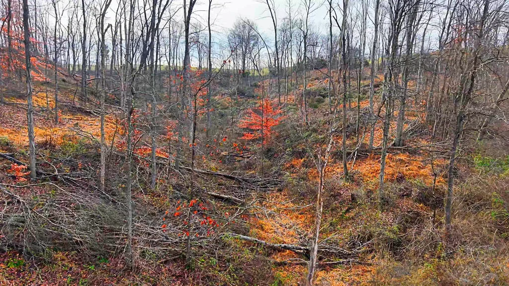 25 Acres in Wood County, WV - Happy Hollow Road - Photo 2