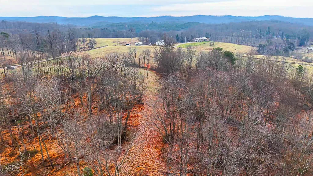 25 Acres in Wood County, WV - Happy Hollow Road - Photo 12