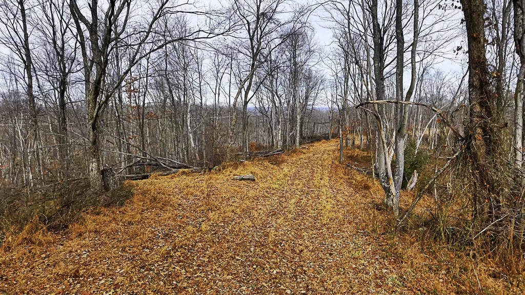 25 Acres in Wood County, WV - Happy Hollow Road - Photo 3