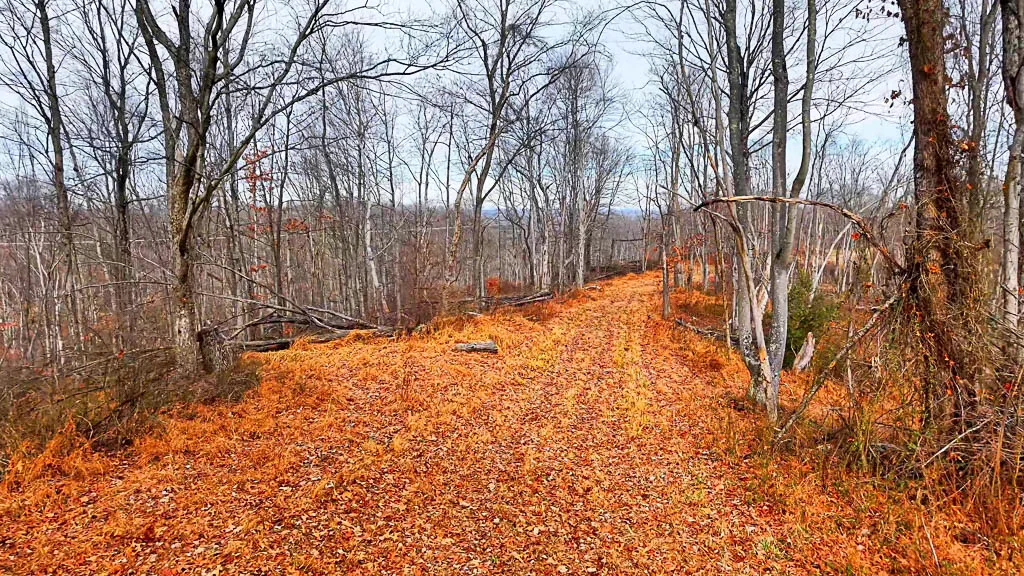 25 Acres in Wood County, WV - Happy Hollow Road - Photo 3