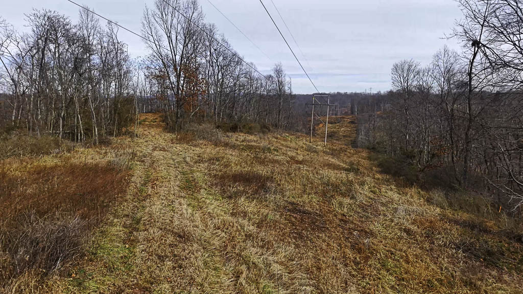 25 Acres in Wood County, WV - Happy Hollow Road - Photo 4