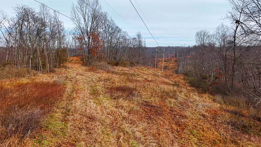 25 Acres in Wood County, WV - Happy Hollow Road - Photo 4