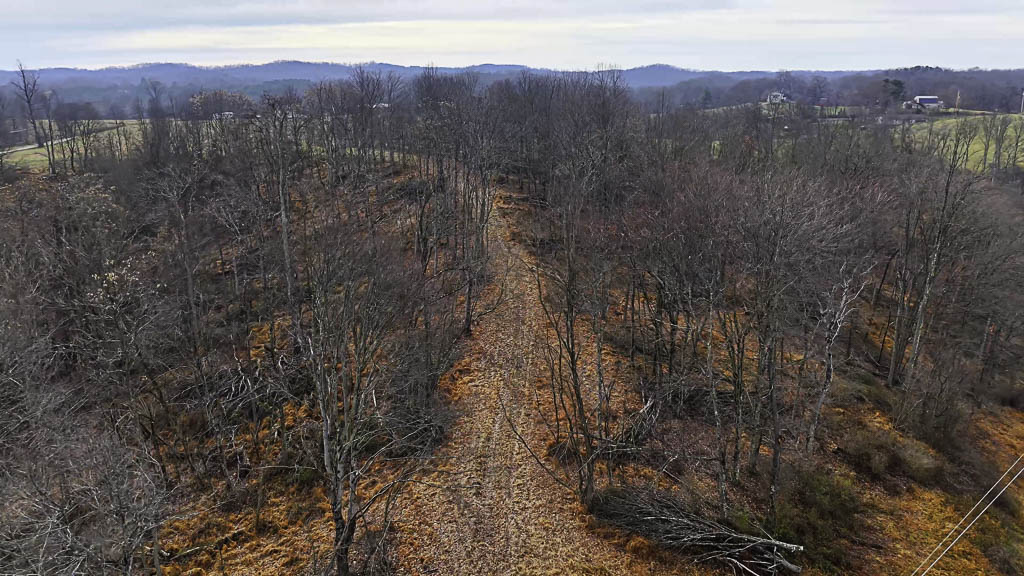 25 Acres in Wood County, WV - Happy Hollow Road - Photo 5