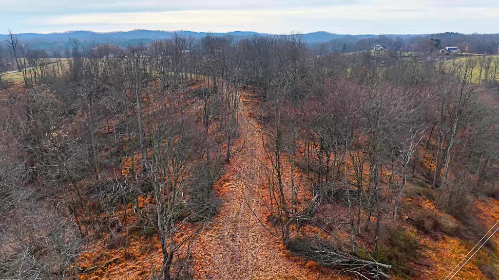 25 Acres in Wood County, WV - Happy Hollow Road - Photo 5