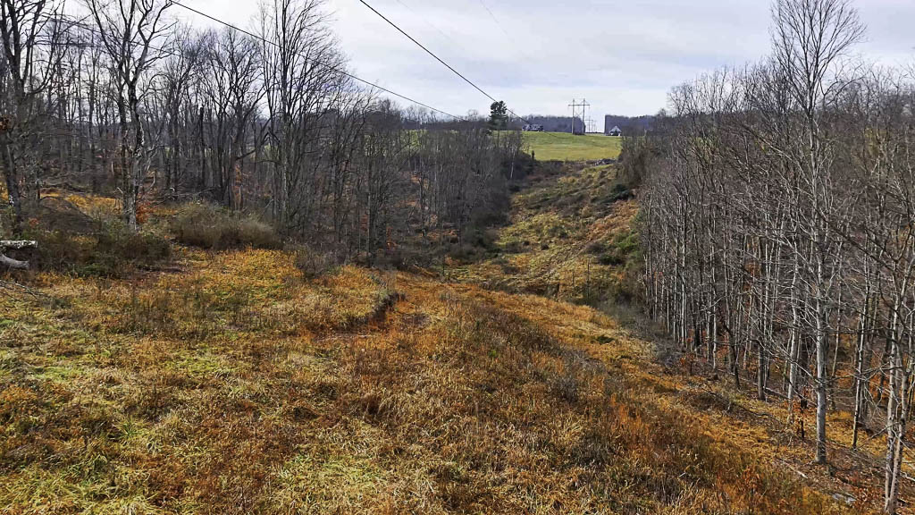 25 Acres in Wood County, WV - Happy Hollow Road - Photo 6