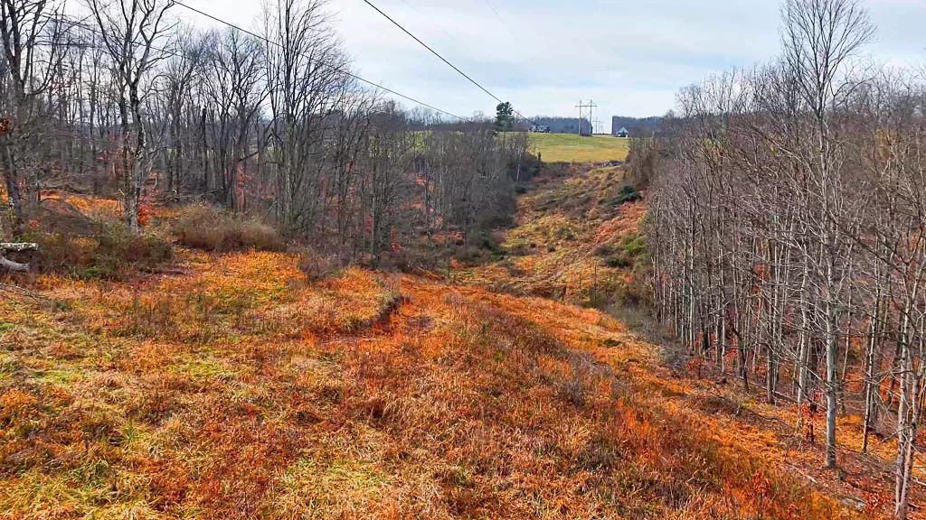 25 Acres in Wood County, WV - Happy Hollow Road - Photo 6