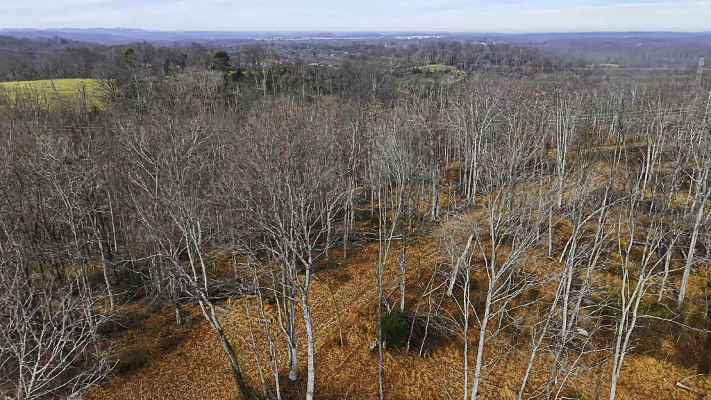 25 Acres in Wood County, WV - Happy Hollow Road - Photo 7