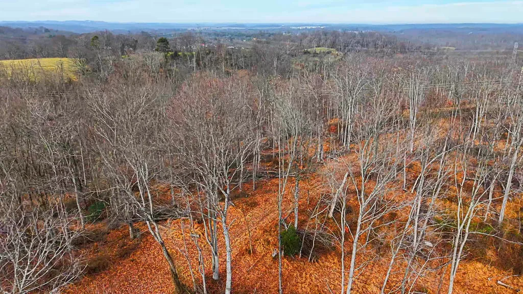 25 Acres in Wood County, WV - Happy Hollow Road - Photo 7