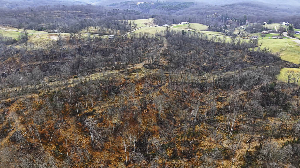 25 Acres in Wood County, WV - Happy Hollow Road - Photo 8