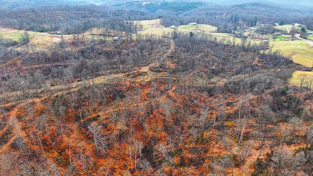 25 Acres in Wood County, WV - Happy Hollow Road - Photo 8