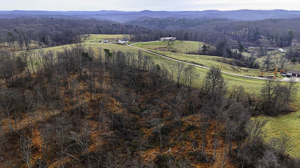 25 Acres in Wood County, WV - Happy Hollow Road - Photo 9