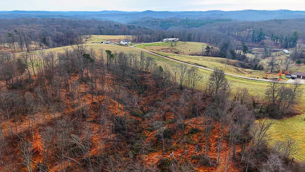 25 Acres in Wood County, WV - Happy Hollow Road - Photo 9