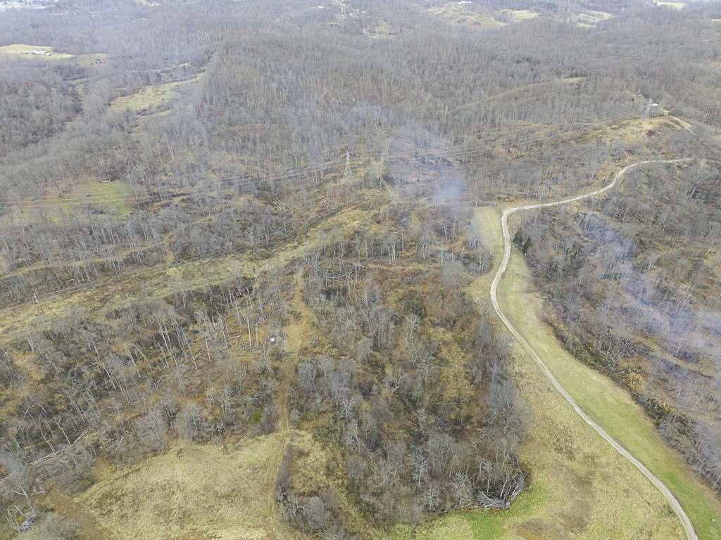 26 Acres in Wood County, WV - Happy Hollow Road - Photo 11