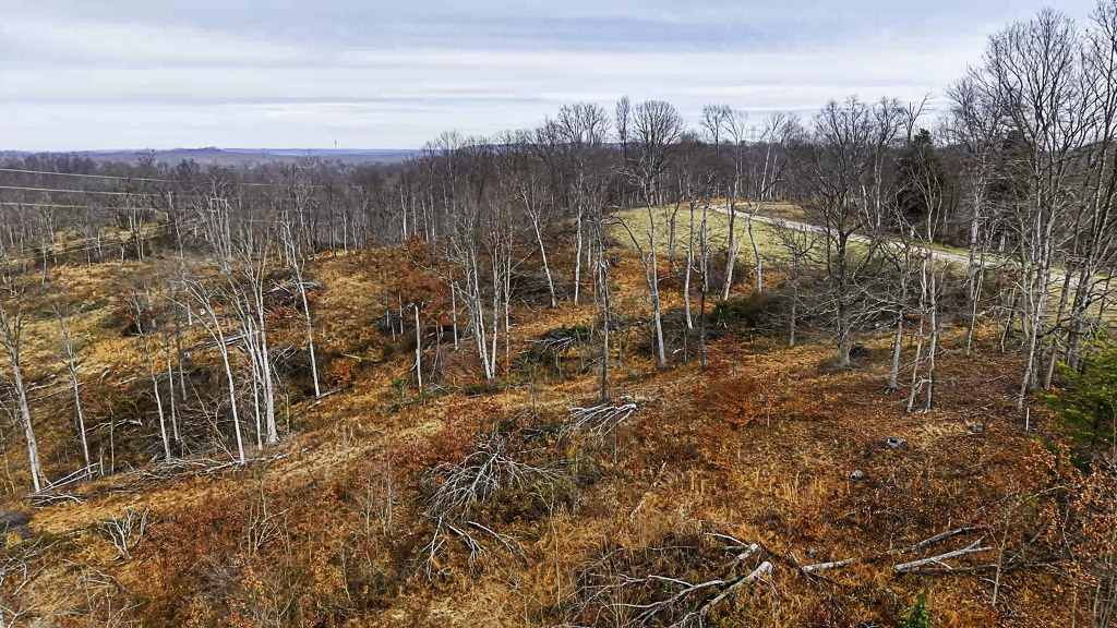 26 Acres in Wood County, WV - Happy Hollow Road - Photo 12