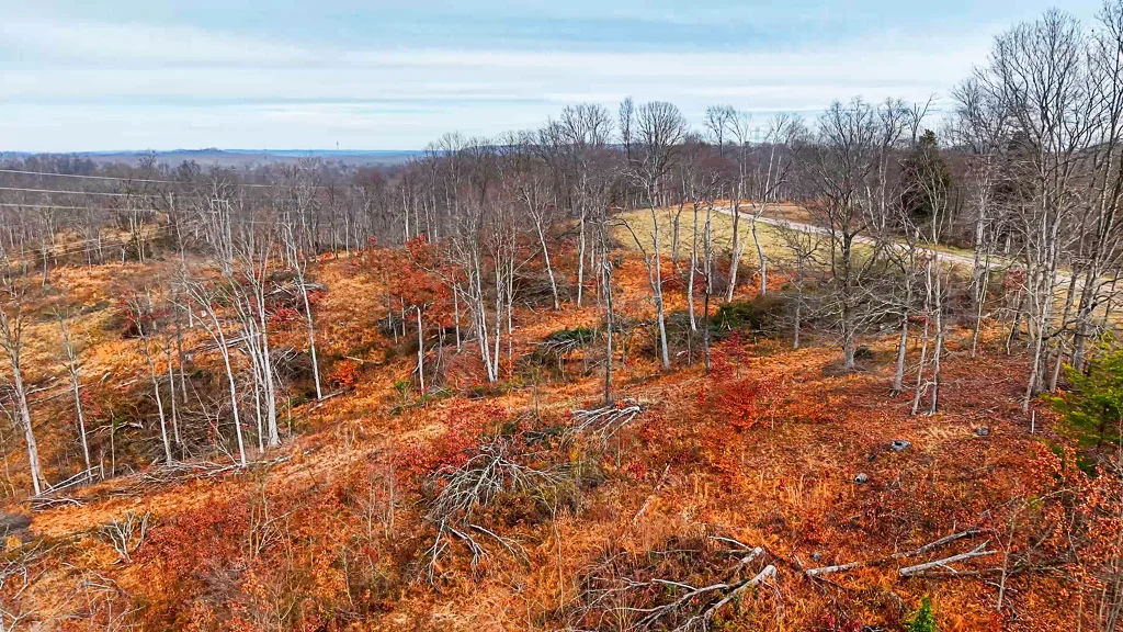 26 Acres in Wood County, WV - Happy Hollow Road - Photo 12