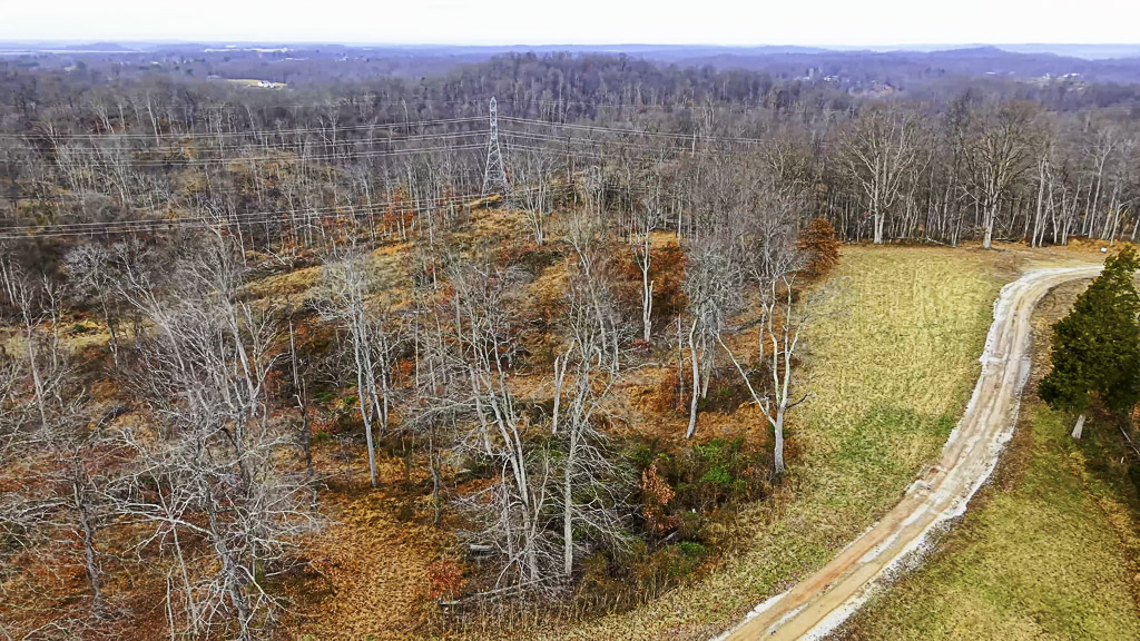 26 Acres in Wood County, WV - Happy Hollow Road - Photo 15