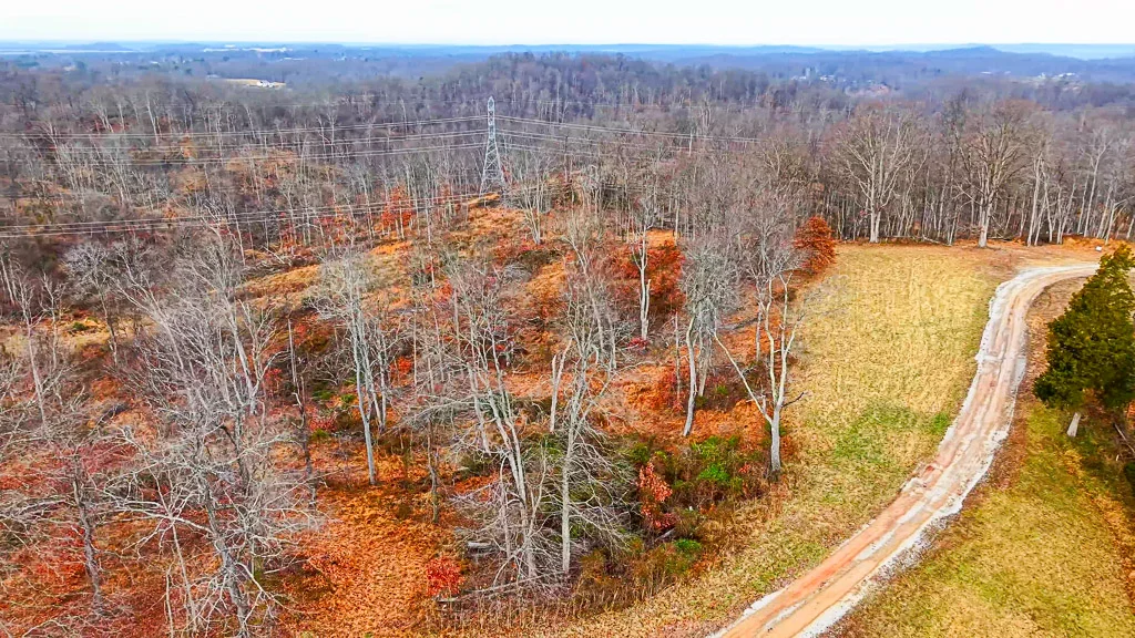 26 Acres in Wood County, WV - Happy Hollow Road - Photo 15