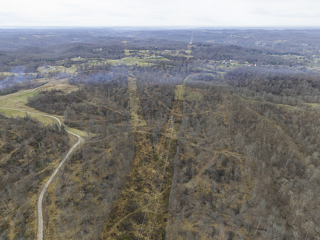 26 Acres in Wood County, WV - Happy Hollow Road - Photo 16