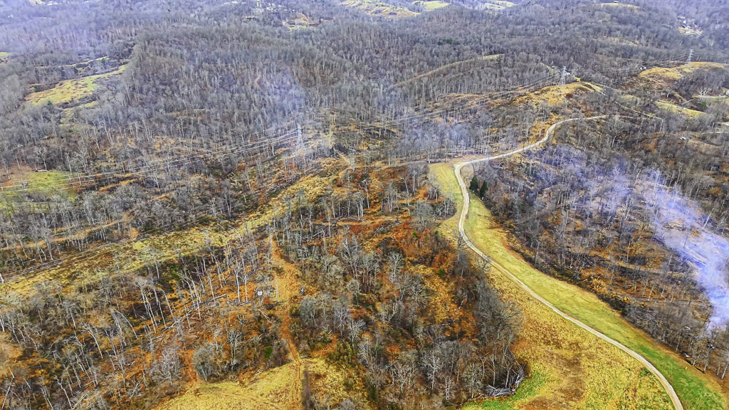 26 Acres in Wood County, WV - Happy Hollow Road - Photo 18