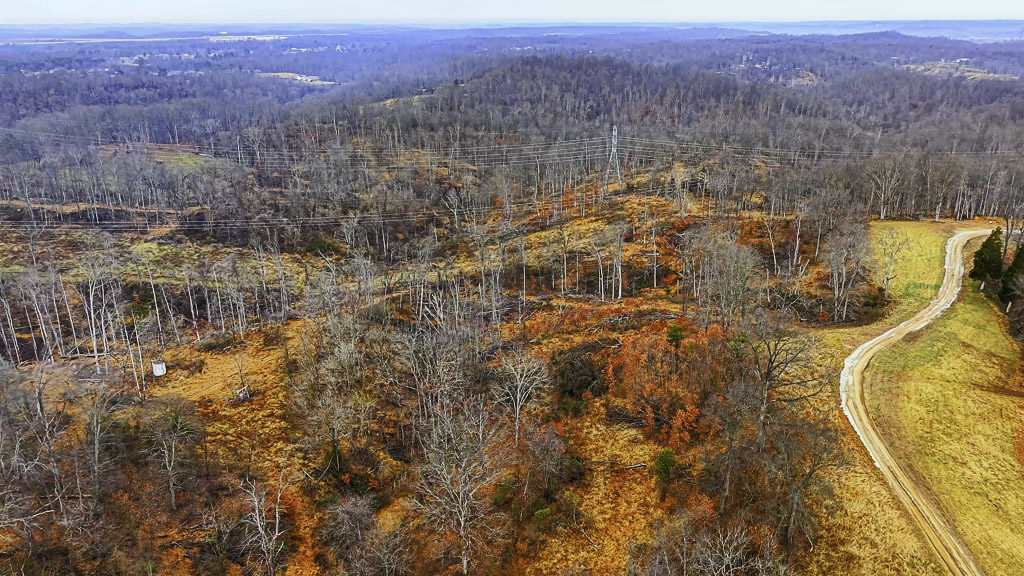 26 Acres in Wood County, WV - Happy Hollow Road - Photo 20