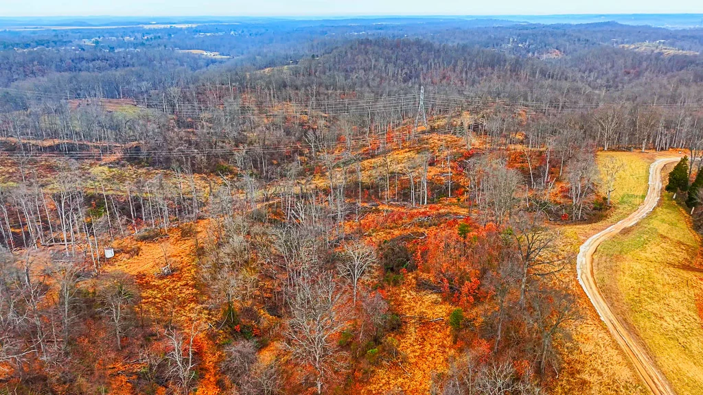 26 Acres in Wood County, WV - Happy Hollow Road - Photo 20