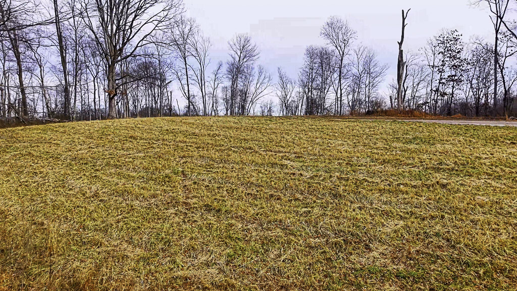 26 Acres in Wood County, WV - Happy Hollow Road - Photo 3