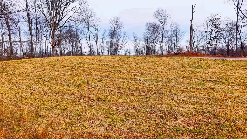 26 Acres in Wood County, WV - Happy Hollow Road - Photo 3