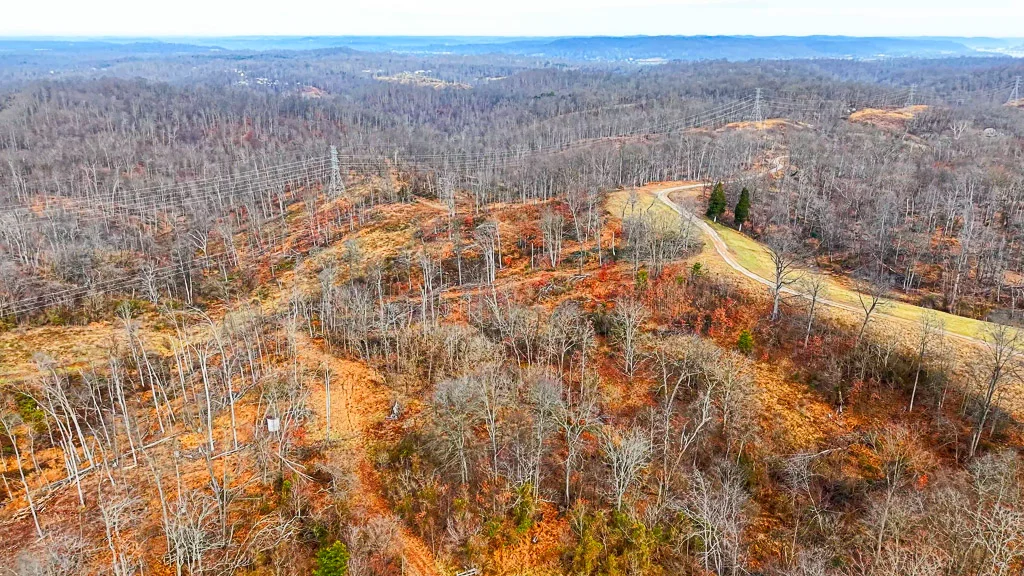 26 Acres in Wood County, WV - Happy Hollow Road - Photo 23