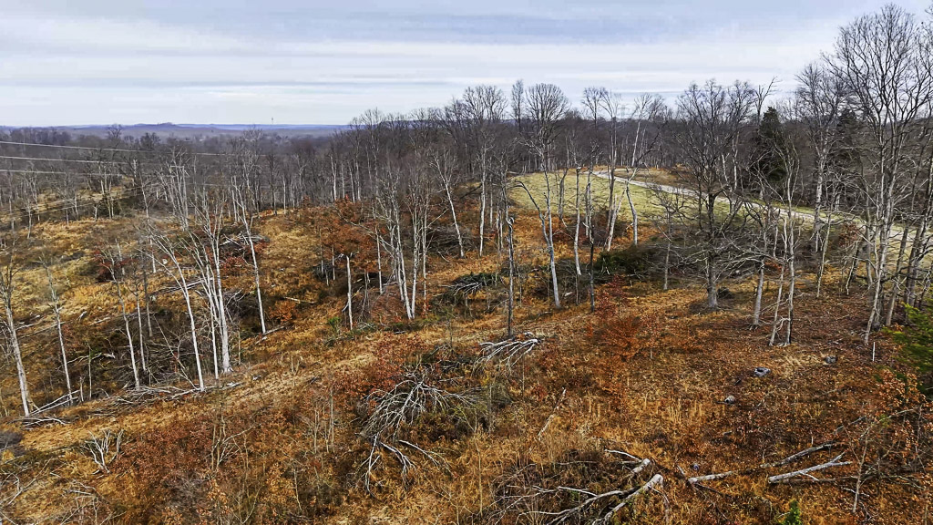 26 Acres in Wood County, WV - Happy Hollow Road - Photo 8