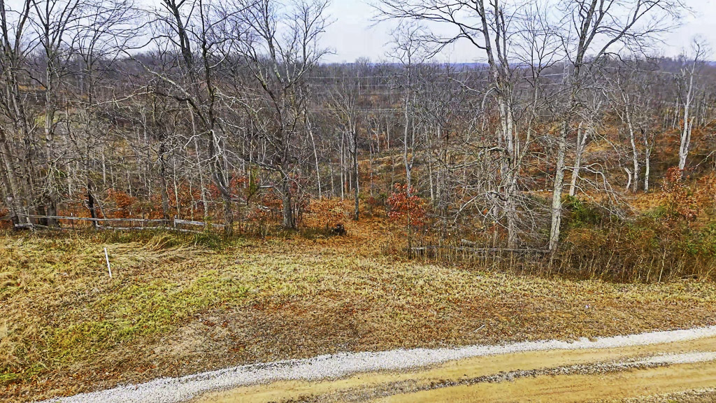 26 Acres in Wood County, WV - Happy Hollow Road - Photo 9