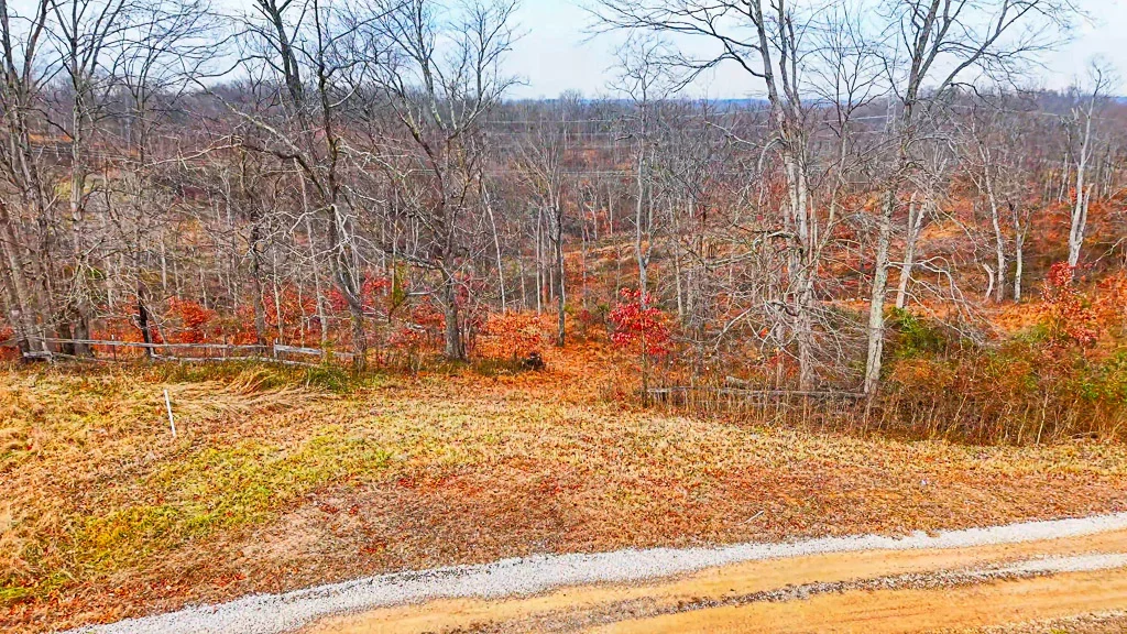 26 Acres in Wood County, WV - Happy Hollow Road - Photo 9