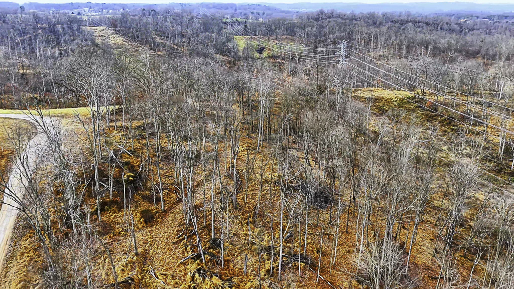 26 Acres in Wood County, WV - Happy Hollow Road - Photo 10