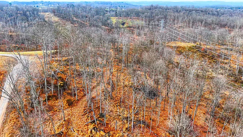 26 Acres in Wood County, WV - Happy Hollow Road - Photo 10