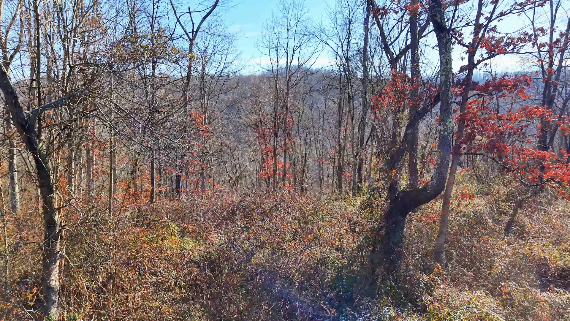 Brooks Rd Lot 3 - 34 Acres in Washington County, OH - Photo 11