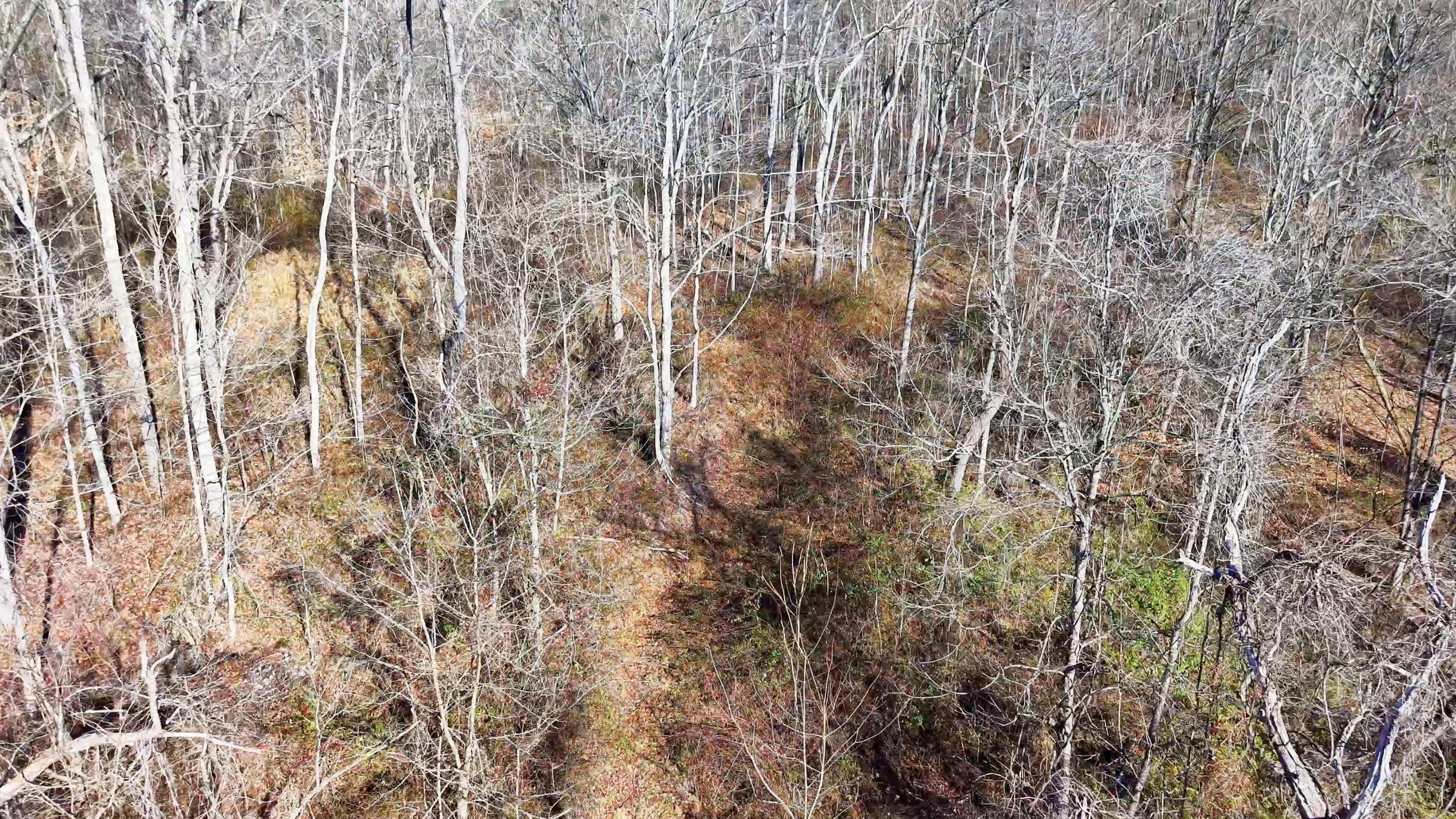 Brooks Rd Lot 3 - 34 Acres in Washington County, OH - Photo 12