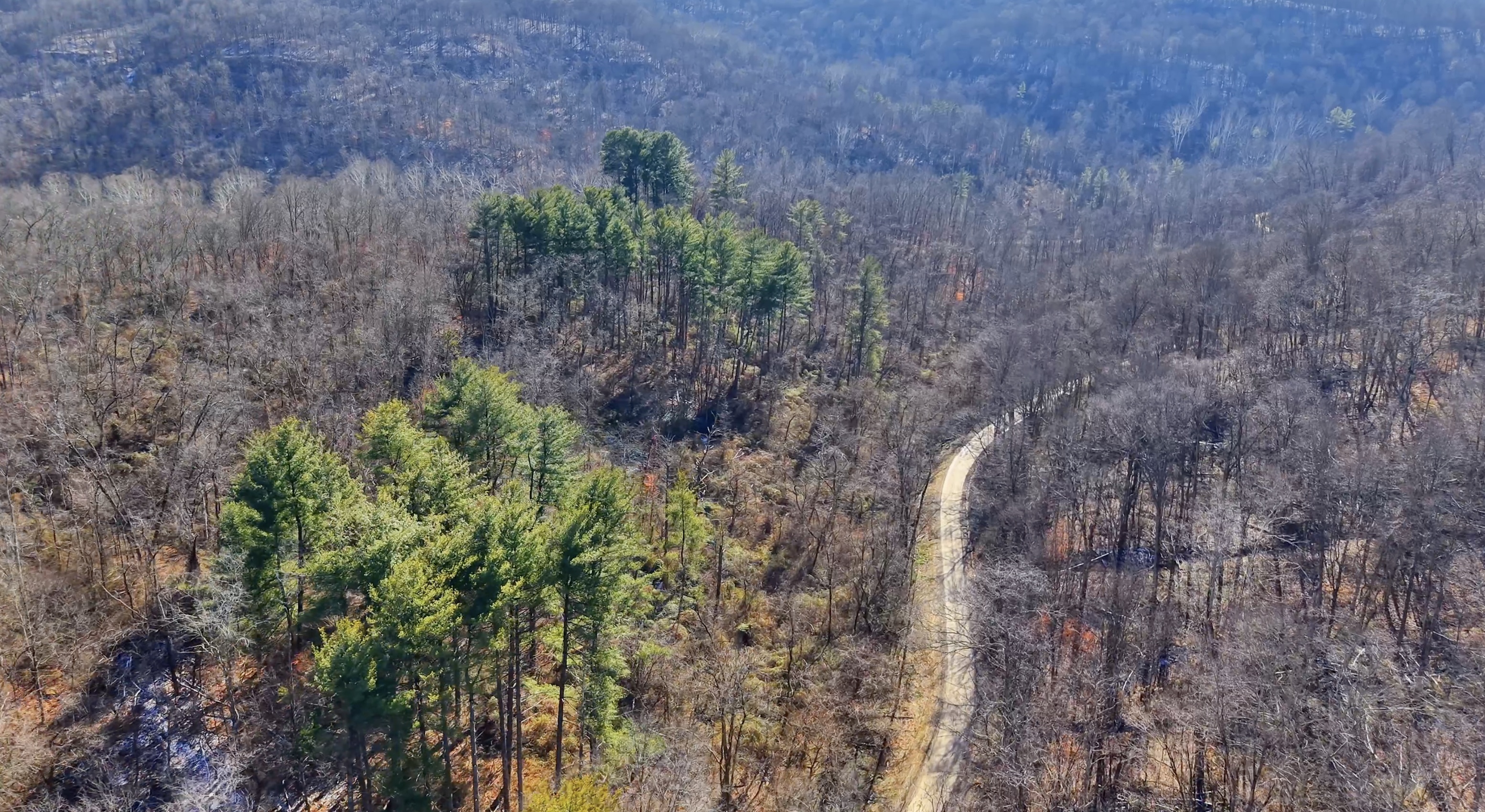 Brooks Rd Lot 3 - 34 Acres in Washington County, OH - Photo 4