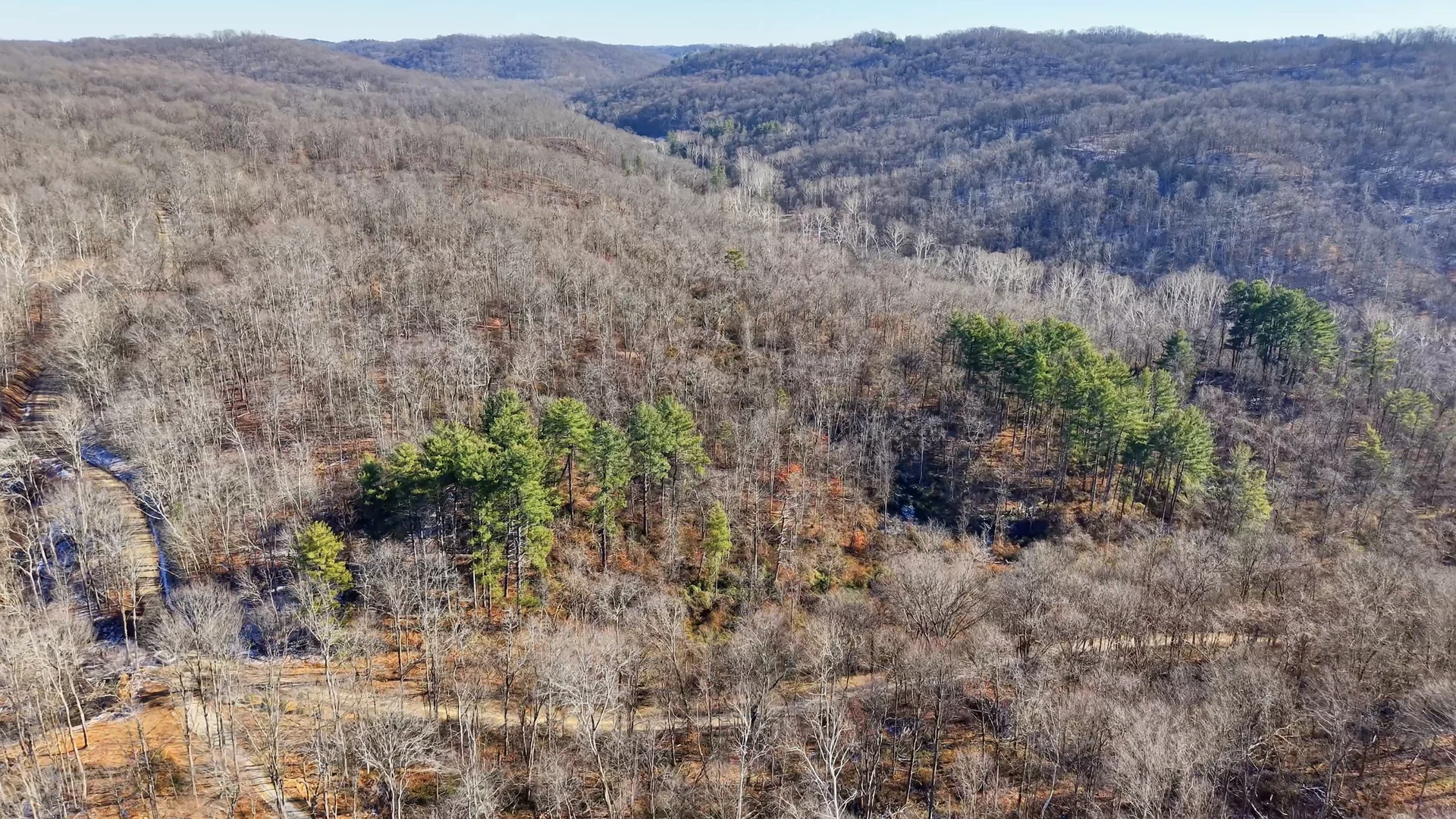 Brooks Rd Lot 3 - 34 Acres in Washington County, OH - Photo 5